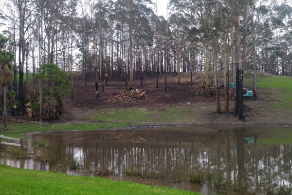 Land Clearing Services
